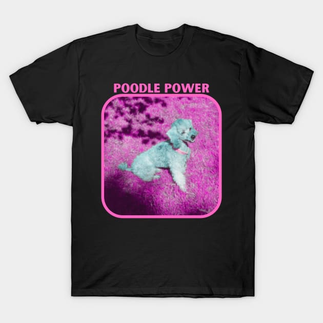 Poodle Power T-Shirt by The Golden Palomino